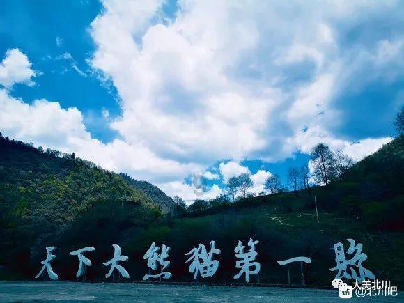 什么才是懂事的孩子!游戏画面