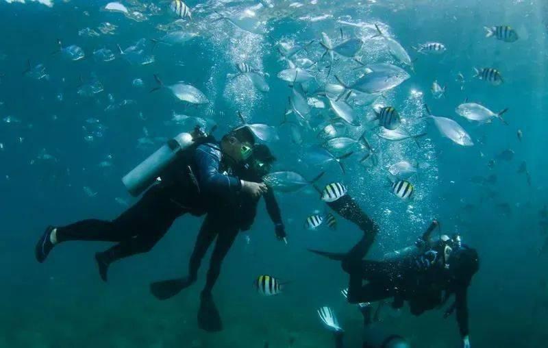 监测、管理、应急一体化管控，八六三软件探索智慧水务管理新模式
